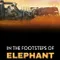 In the Footsteps of Elephant fragman izle