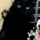 Psasm adlı kullanıcı