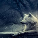 suleyman adlı kullanıcı