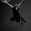 RaveN adlı kullanıcı